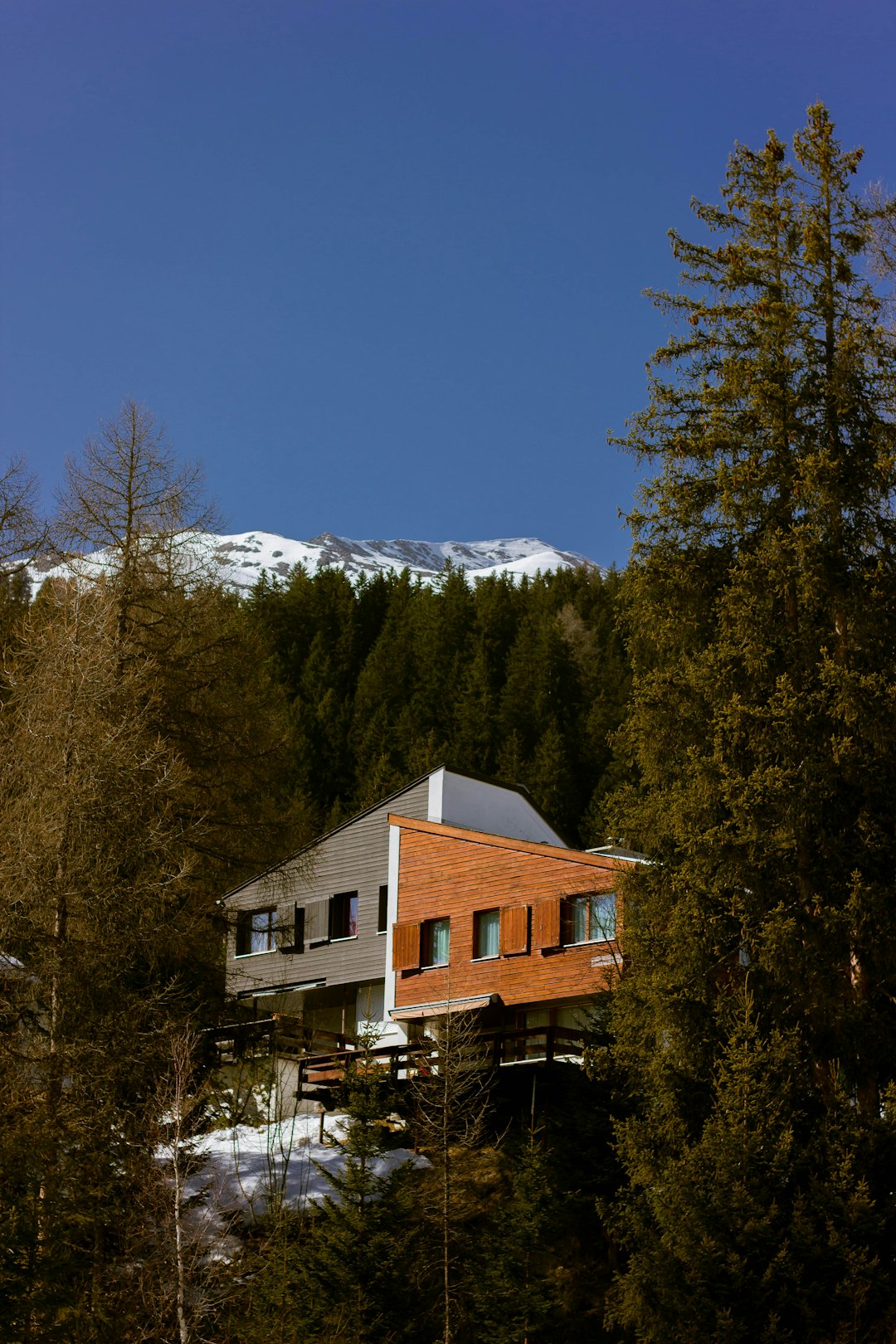 Glacier View Suite